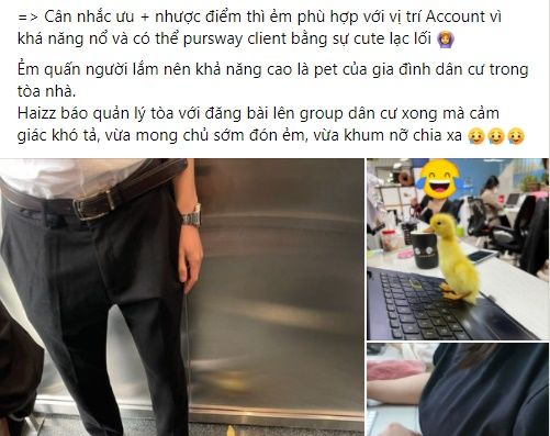 Bé vịt chốn công sở: Làm không bao nhiêu toàn thấy ăn với ngủ