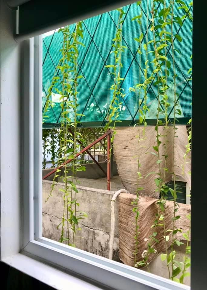 Cặp đôi trẻ cải tạo phòng cũ thành căn hộ nhỏ xinh đầy đủ công năng