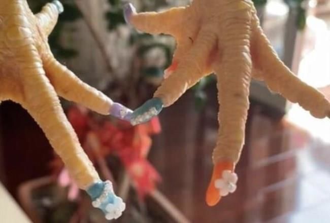 Cô gái tân trang bộ nail cho gà cưng gây bão trên mạng