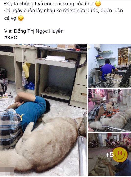 Chồng cả ngày cưng nựng Husky, vợ dỗi: Không biết ai mới là vợ