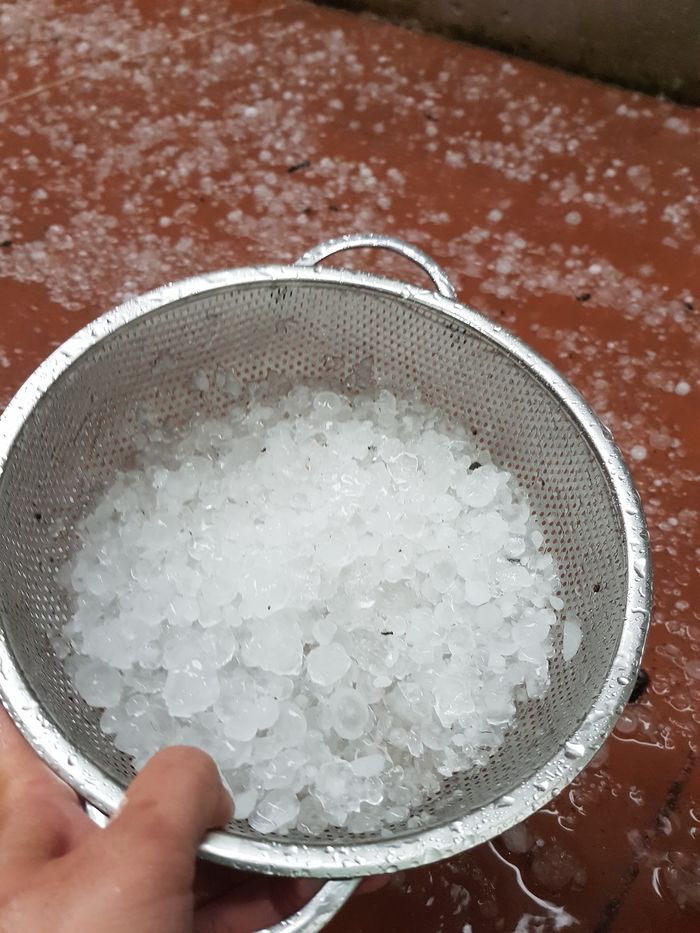 Đà Lạt đón mưa đá trắng xoá chiều Chủ Nhật: Cục nào cục nấy to bự