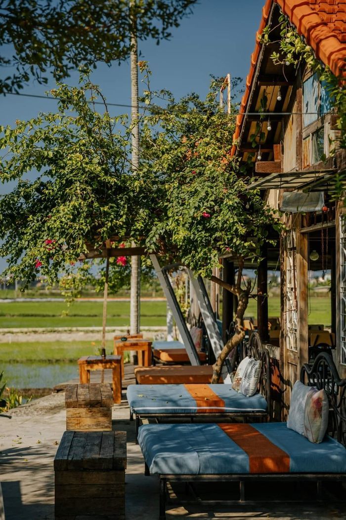Độc nhất vô nhị: Quán cafe trên ruộng hot nhất miền Tây thu hút khách 