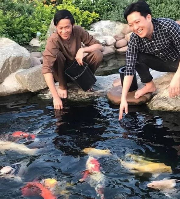 Hồ cá Koi bạc tỷ trong biệt thự đi mỏi chân của sao Việt
