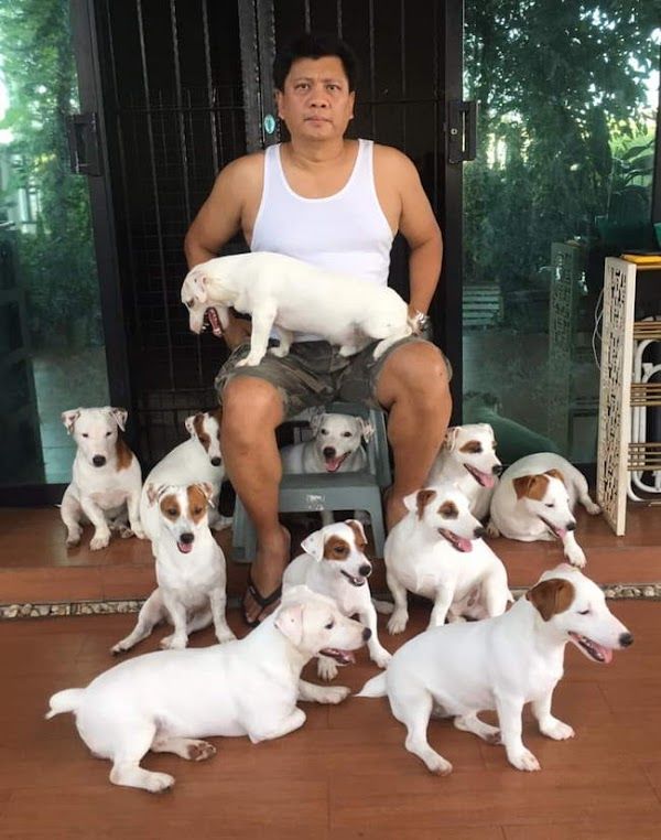 Người đàn ông chọn sống bình yên bên 20 cún cưng sau ly hôn