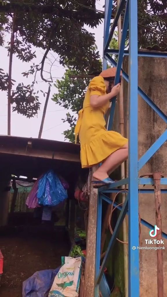 MC ở đám cưới xưa rồi, cô gái leo lên đọt sầu riêng dõng dạc dẫn lễ