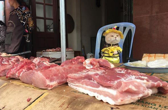 Quàng thượng lên đồ bán cá, khách hàng thích thú chốt đơn ầm ầm
