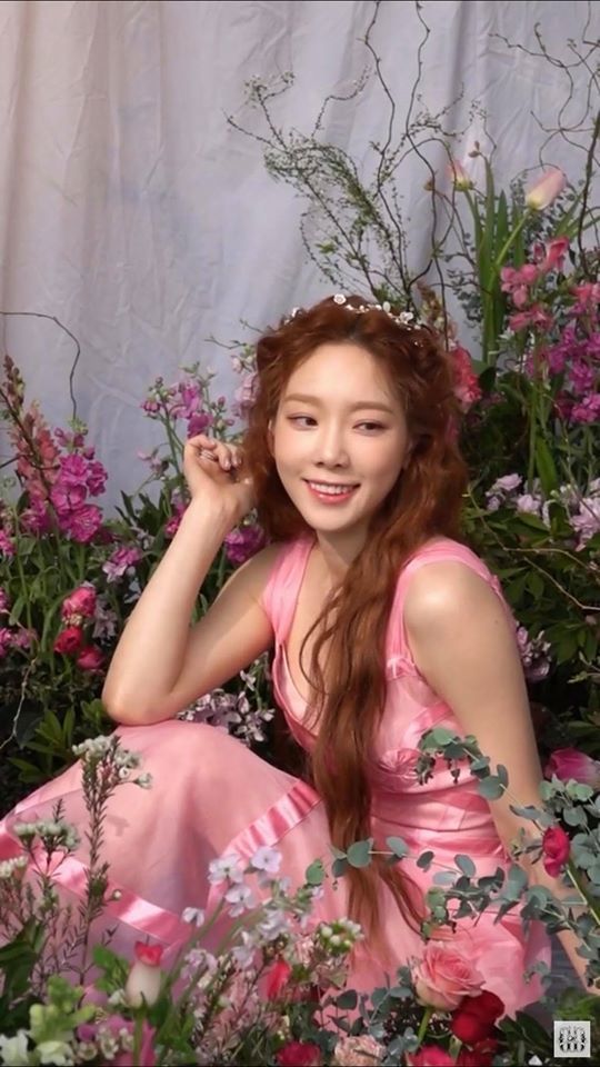 Mỹ nữ Kpop toả sáng bên các sắc hoa: Ai mới là đoá hồng đẹp nhất