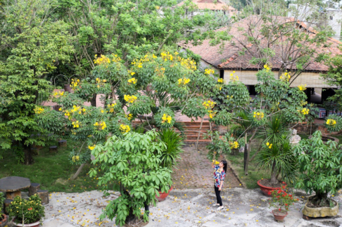 Những sao Việt có nhà vườn cò bay thẳng cánh ở ngoại thành