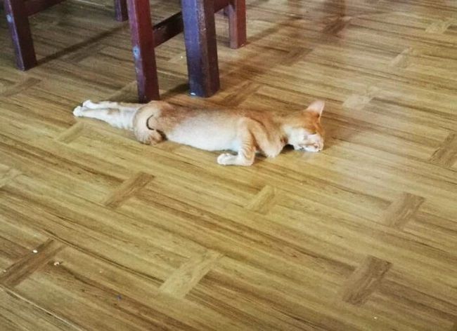 Phận con sen và những khoảnh khắc gây lú cực mạnh của hoàng thượng