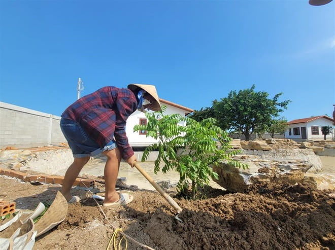 Trường Giang: Nấu ăn như đầu bếp, trồng rau trái siêu mát tay