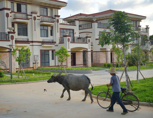 Tỷ phú xây 250 biệt thự tri ân cả làng quyên tiền giúp mình vào ĐH