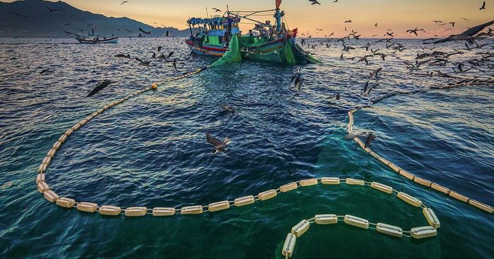 Vũ khúc người đi săn: Tung chài bắt cá cơm tại Hòn Yến đẹp như tranh