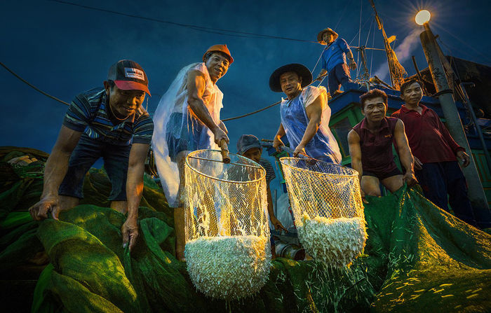 Vũ khúc người đi săn: Tung chài bắt cá cơm tại Hòn Yến đẹp như tranh