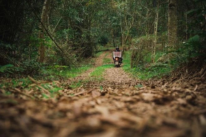 Chàng trai dùng cả thanh xuân để nuôi dưỡng chó khuyển vương
