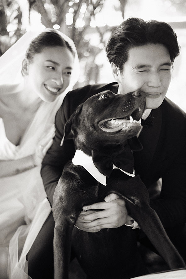 Đặc quyền cún cưng Vbiz: xuất hiện trong ảnh cưới, được làm đám tang