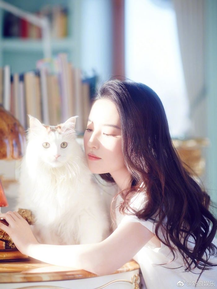 Dàn mỹ nhân 8X gây thương nhớ cực mạnh trên màn ảnh Hoa Ngữ