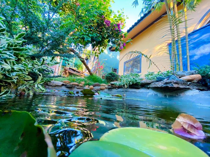 Hai anh em Tây Nguyên xây nhà vườn báo hiếu bố mẹ nông dân