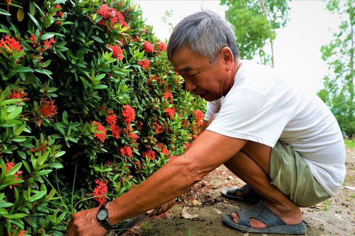Chiêm ngưỡng hàng bông trang độc nhất vô nhị miền Tây