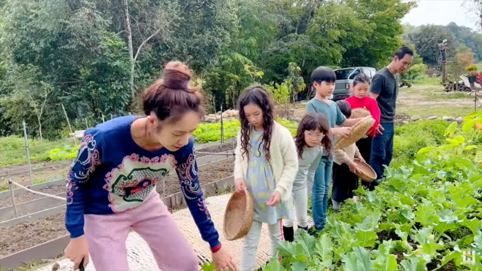 Làm nông giỏi nhất Vbiz là Lý Hải: trồng ớt nửa tỷ tươi tốt không ngờ