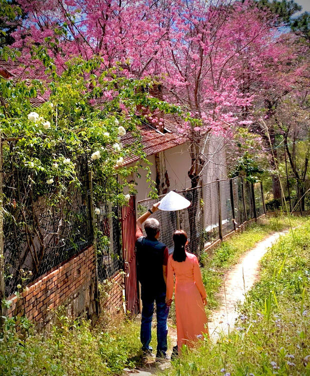 Cô gái miền Tây thực hiện giấc mơ về căn nhà cổ tích tại Đà Lạt