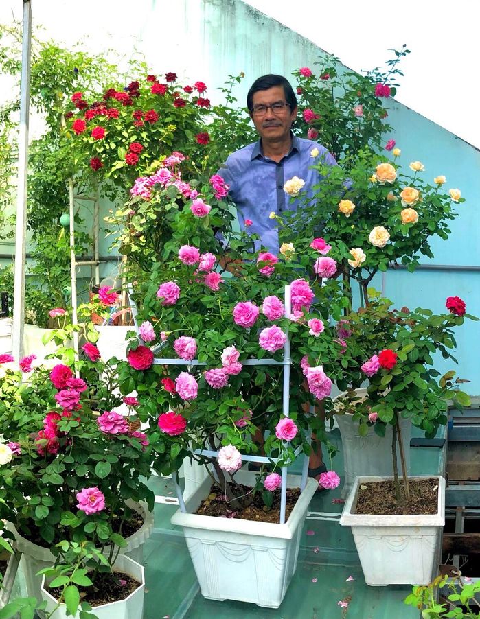 Người đàn ông U70 biến mái nhà thành vườn hồng, chỉ cần vợ thích
