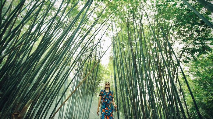 Ông hoàng của những sàn catwalk độc đáo gọi tên Đỗ Mạnh Cường