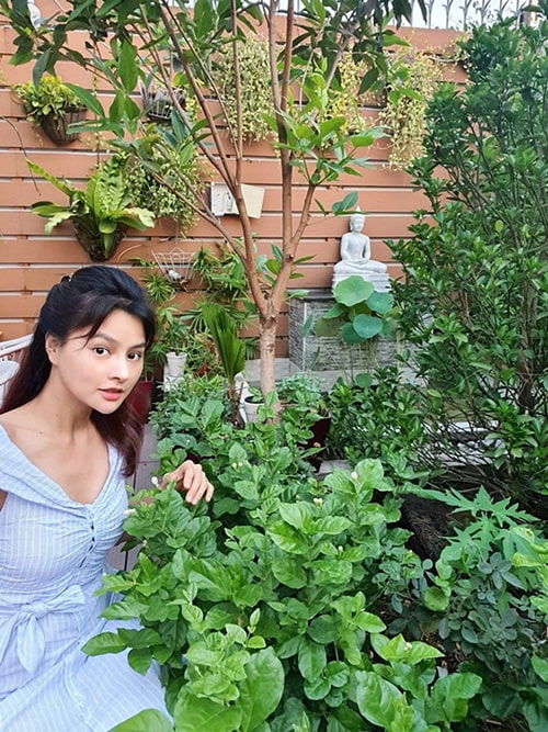 Sao Việt trồng trọt cho vui nào ngờ bội thu ăn cả làng không hết
