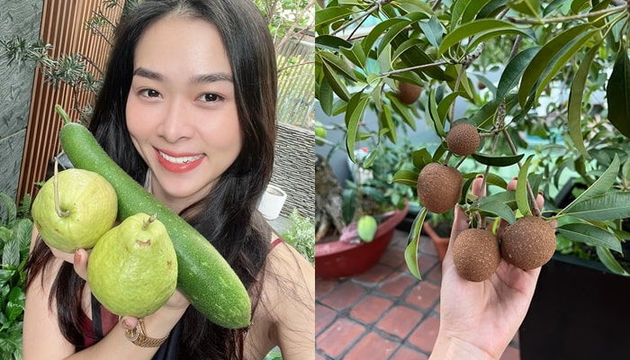 Sao Việt trồng trọt cho vui nào ngờ bội thu ăn cả làng không hết