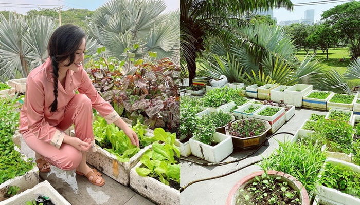 Sao Việt trồng trọt cho vui nào ngờ bội thu ăn cả làng không hết