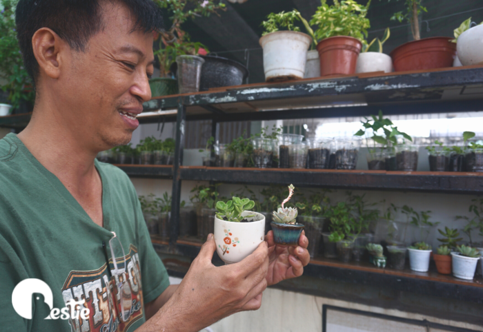 Cửa hàng cây cảnh 0 đồng ở SG: không giới hạn số lượng, ai cần đến lấy