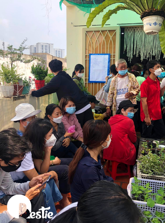 Cửa hàng cây cảnh 0 đồng ở SG: không giới hạn số lượng, ai cần đến lấy