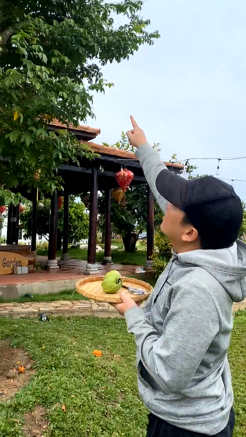 Trường Giang trồng trái cây trong biệt thự chỉ vì Nhã Phương thích