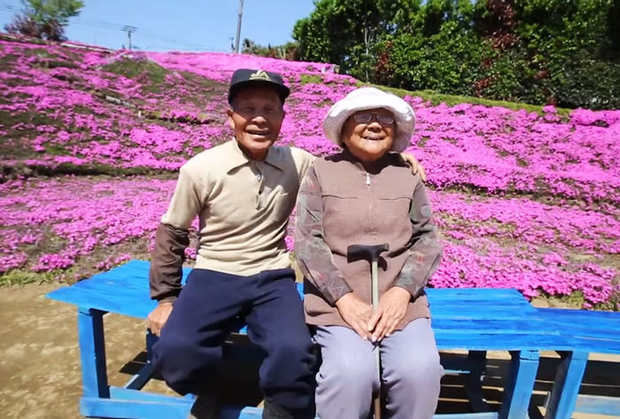 Vườn hoa tình yêu của ông cụ Nhật dành tặng cho người vợ khiếm thị