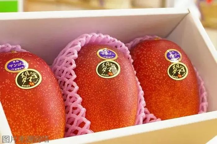 Top loại quả đắt nhất thế giới: Có quả giá trị bằng 1 căn nhà