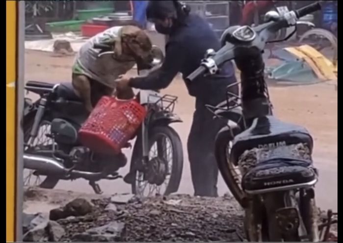 Chú chó được chủ mặc áo giữa trời mưa: Chó không chê chủ nghèo