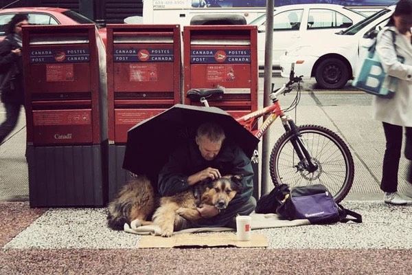 Chú chó được chủ mặc áo giữa trời mưa: Chó không chê chủ nghèo