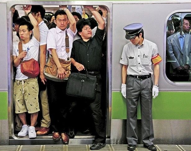 Những công việc kỳ lạ nhất thế giới: Thử đồ ăn cho chó 1,7 tỷ/năm