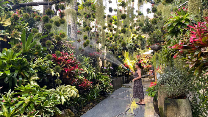 Căn nhà 300m2 giữa lòng Cần Thơ: Có vườn treo trồng dứa Nam Mỹ