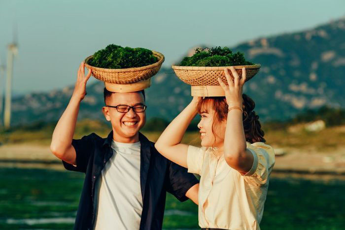 Cánh đồng rêu xanh ở Ninh Thuận đẹp như bức tranh thủy mặc