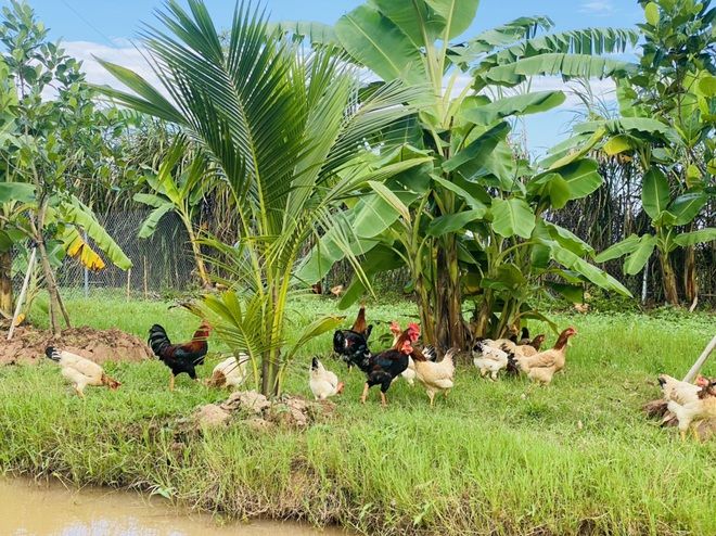 Con gái thích làm vườn, bố đảm cùng con chăm sóc khu vườn rộng 1000m2