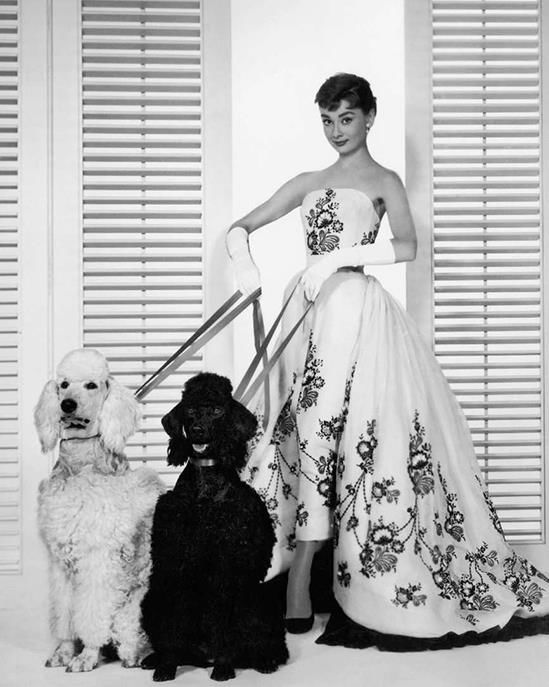 Mỹ nhân của mọi thời đại Audrey Hepburn: Visual hồi trẻ đáng mê mệt