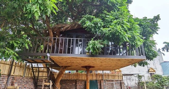 Ông bố Hà thành chi 130 triệu xây nhà trên cây tặng vợ và các con