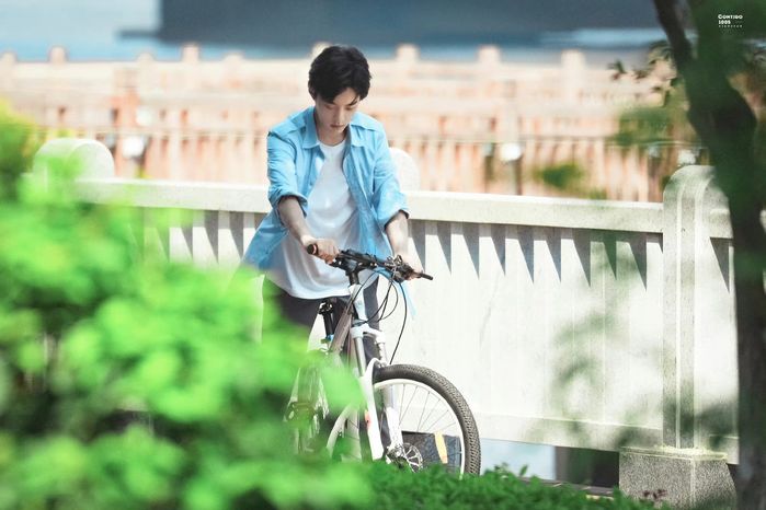 Sao Cbiz đua nhau leo hot search: Dương Mịch có hẳn đội ngũ riêng