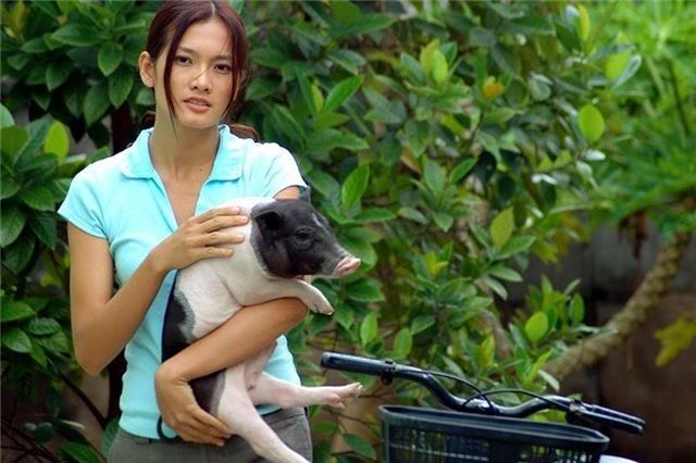 Anh Thư hết hiền qua bộ ảnh mới nhưng nhan sắc lại bị bỏ quên