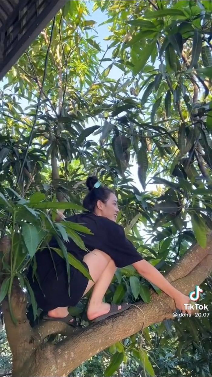 Ảnh hot sao Việt 20/6: Đỗ Thị Hà trèo cây và cái kết phải cầu cứu mẹ