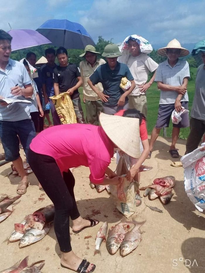 Dân trong xóm cùng thả cá rồi hẹn nhau thu hoạch, chia đều cho 200 hộ