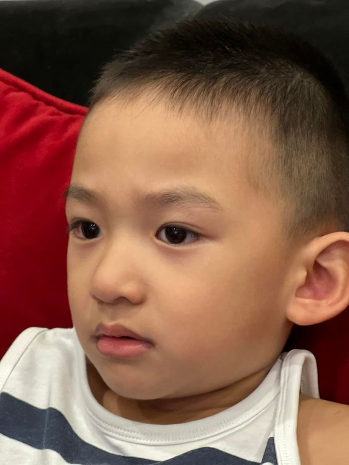 Lương Thế Thành - Thúy Diễm mừng sinh nhật con trai trong rừng thông