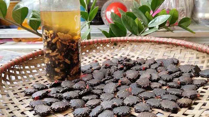 Mùa hè này hòa mình vào thiên nhiên tại Côn Đảo: Lặn ngắm san hô