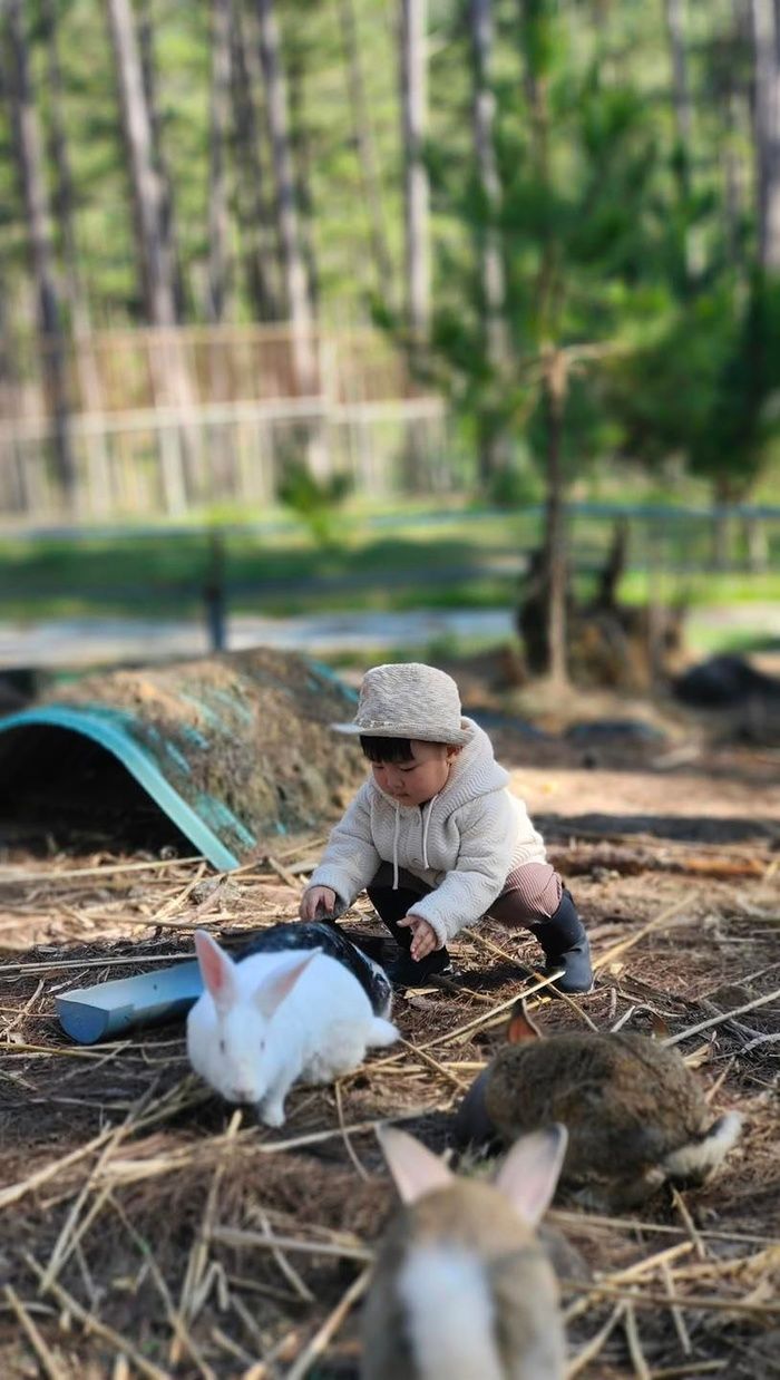 Bo Thúi được mẹ Hòa dạy quá khéo: Mang cơm vào công viên cho cá