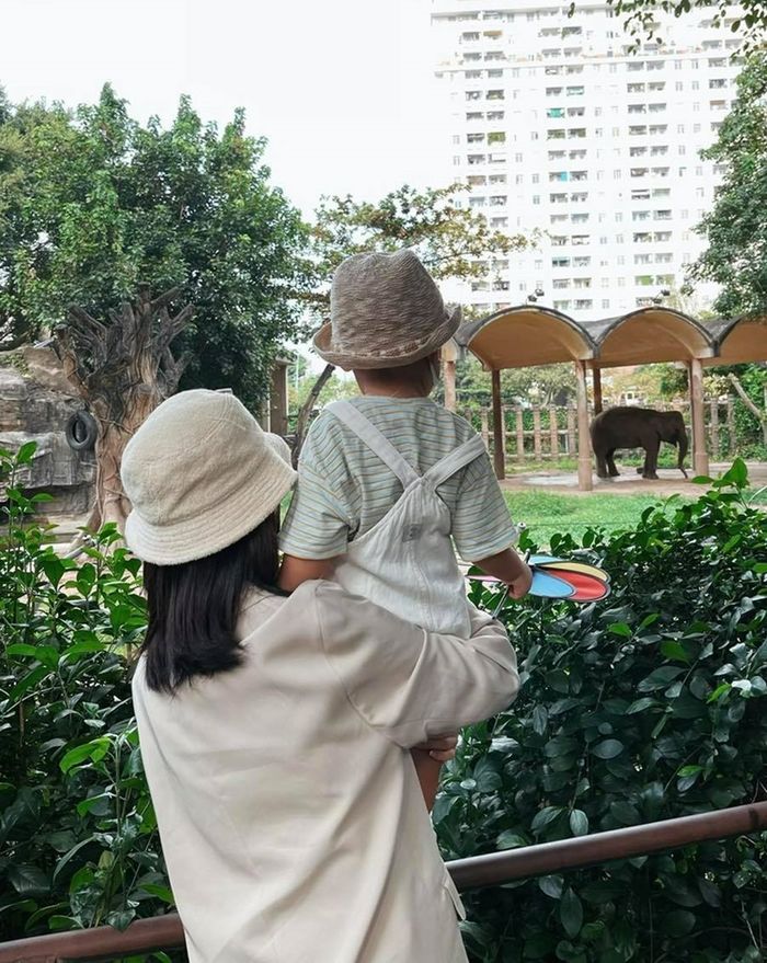 Bo Thúi được mẹ Hòa dạy quá khéo: Mang cơm vào công viên cho cá